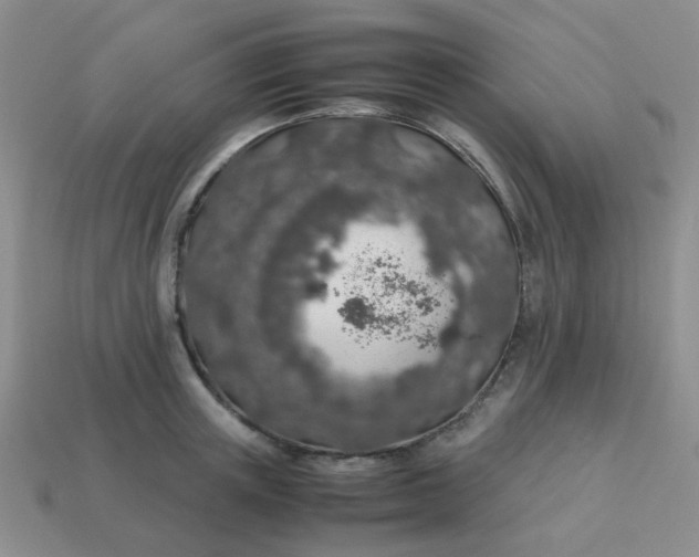 X0000113600851200910091519