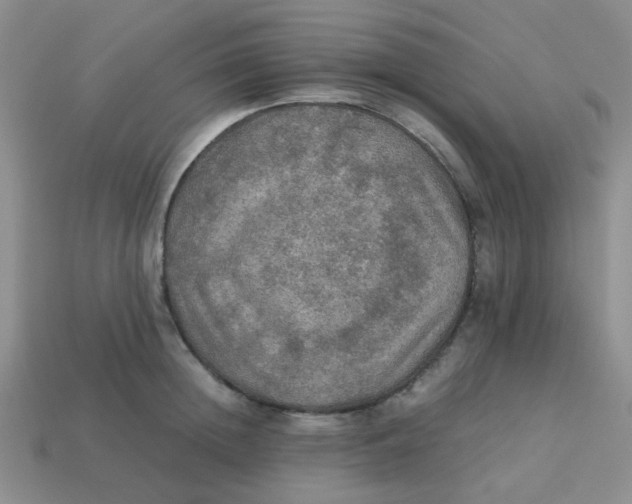 X0000113600852200910091519