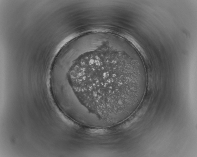 X0000113600853200910091519