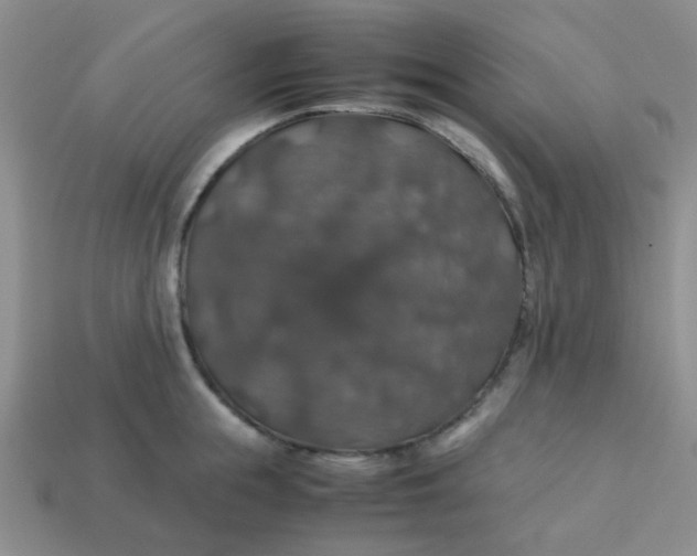 X0000113600855200910091519