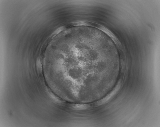 X0000113600857200910091519