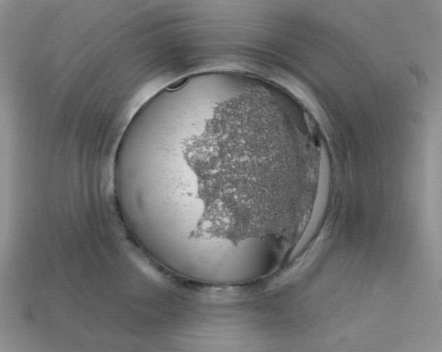 X0000113600858200910091519