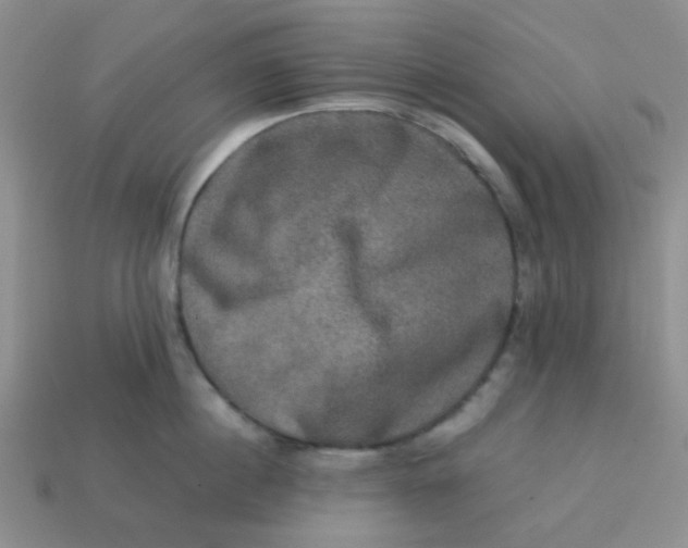 X0000113600860200910091519