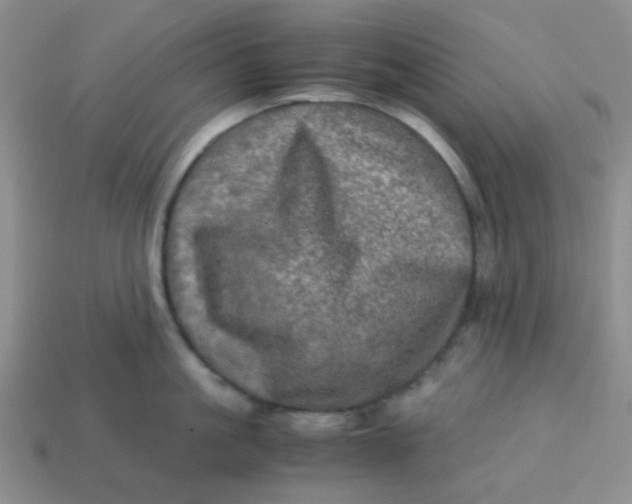 X0000113600861200910091519