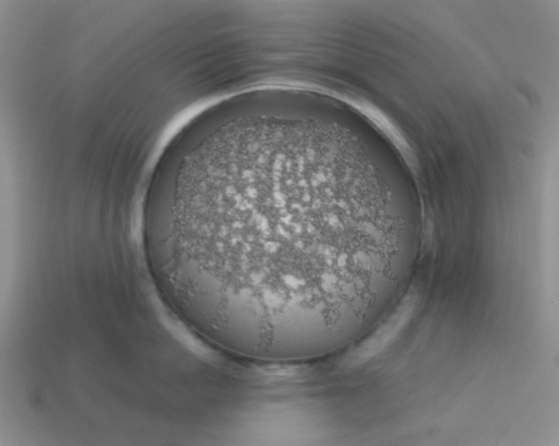 X0000113600862200910091519