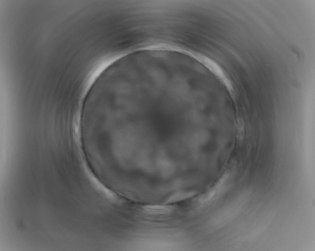 X0000113600863200910091519