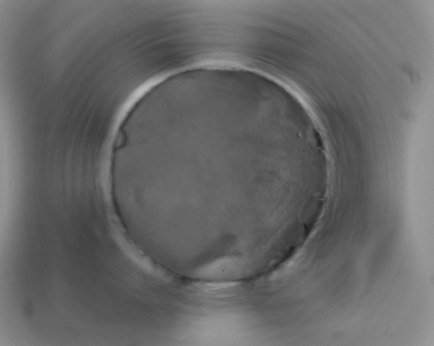 X0000113600864200910091519