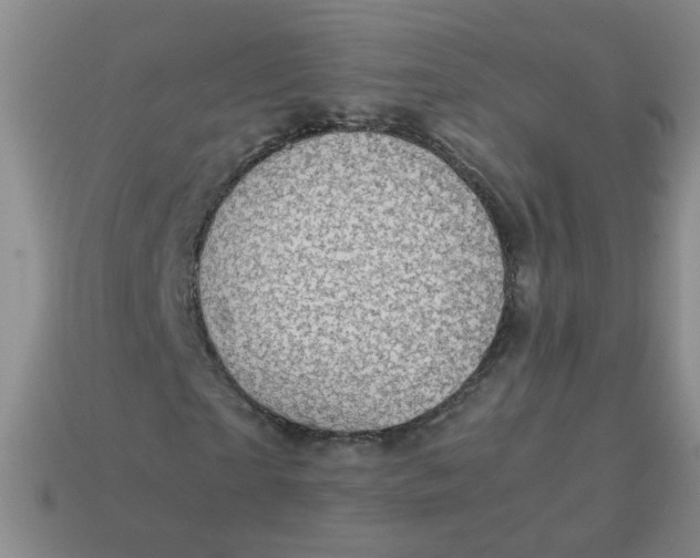 X0000113600865200910091519