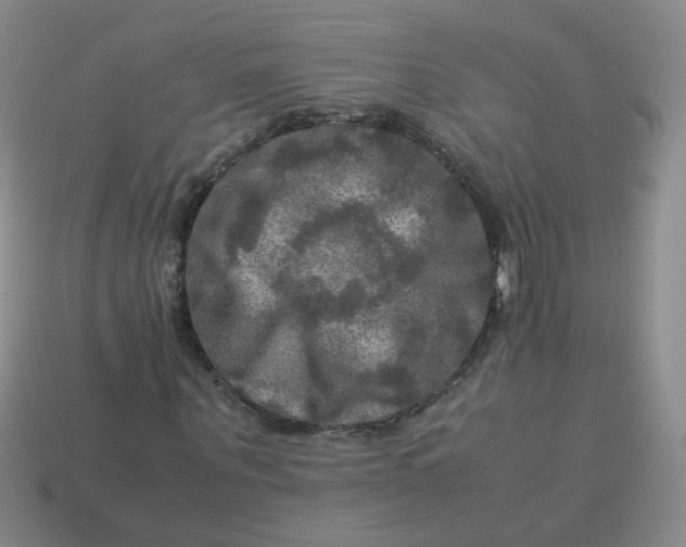 X0000113600867200910091519