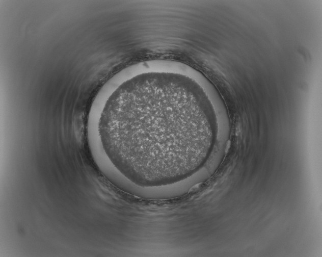 X0000113600868200910091519