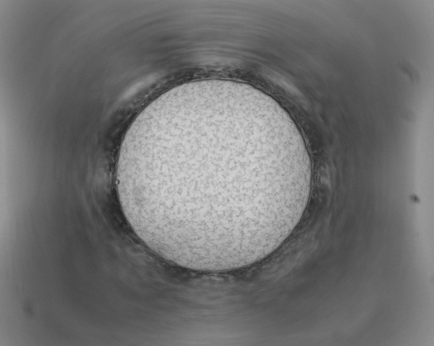 X0000113600869200910091519