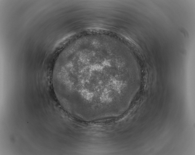 X0000113600870200910091518