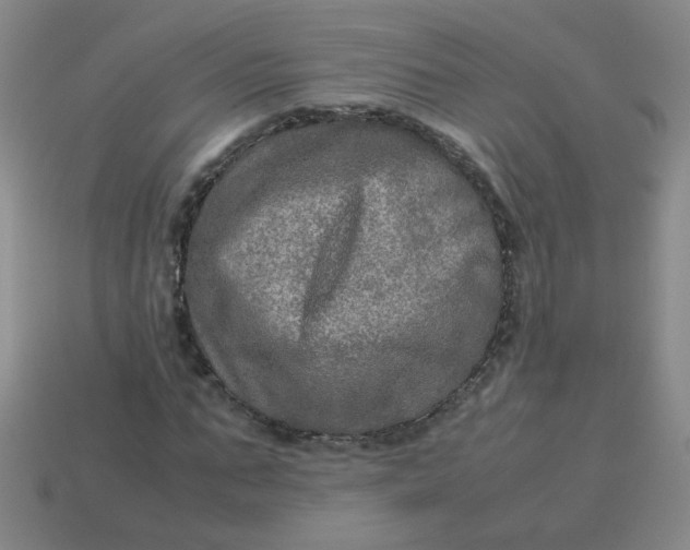 X0000113600871200910091518