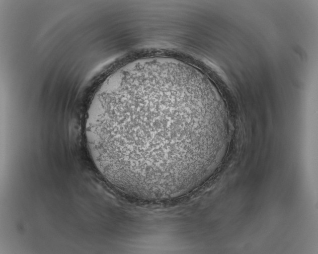 X0000113600872200910091518