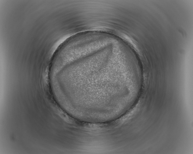 X0000113600875200910091518