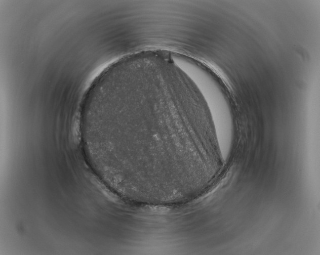 X0000113600878200910091518