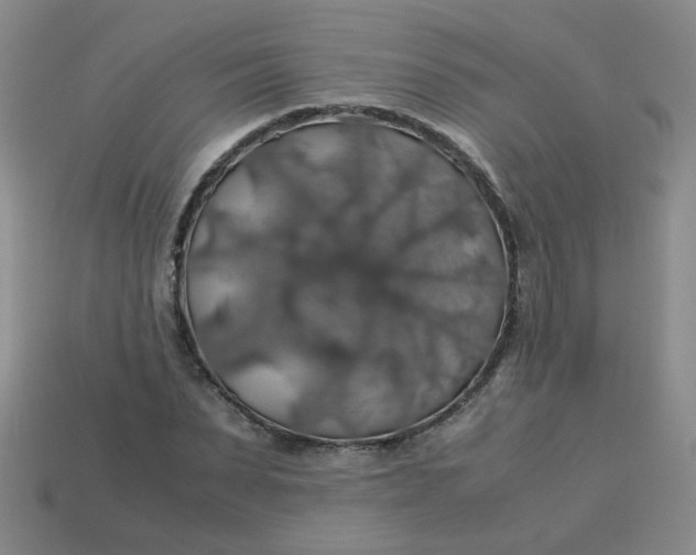 X0000113600879200910091518