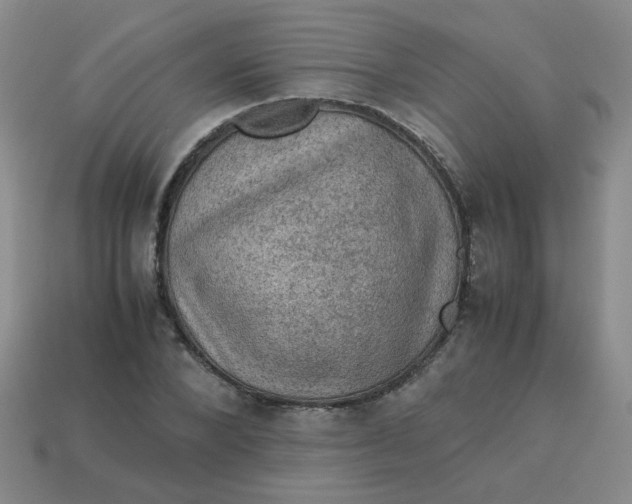 X0000113600880200910091518