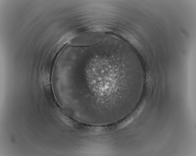 X0000113600881200910091518