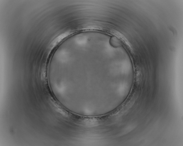 X0000113600882200910091518