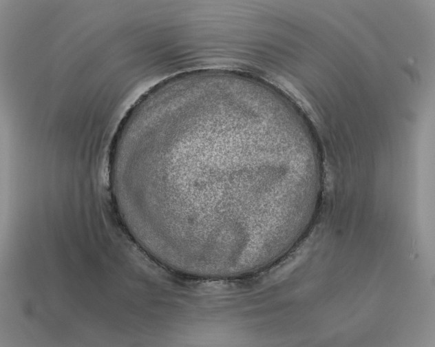 X0000113600883200910091518