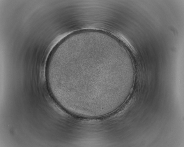 X0000113600884200910091518