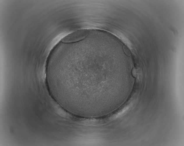 X0000113600885200910091518