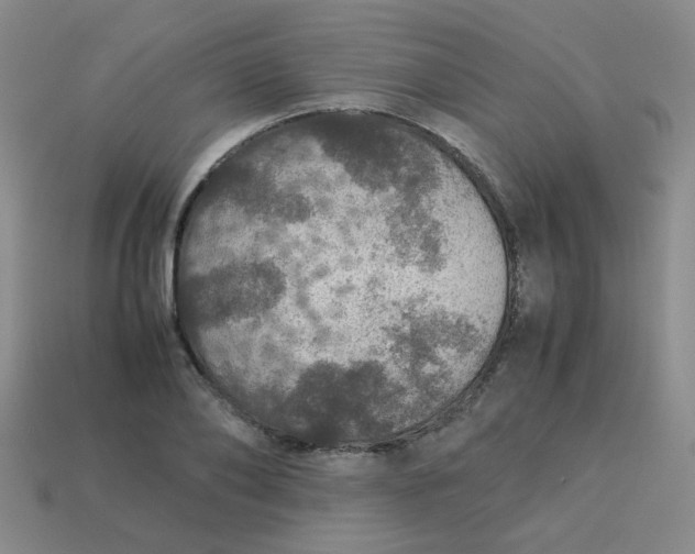 X0000113600886200910091518