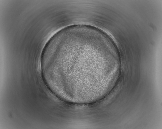 X0000113600887200910091518