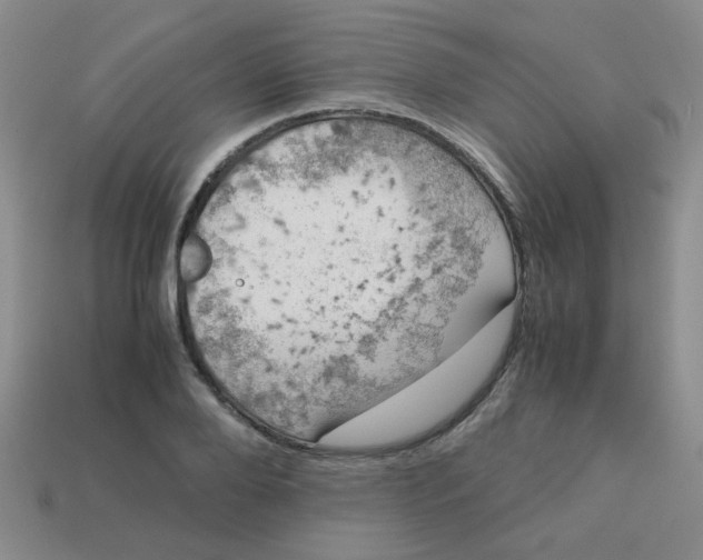 X0000113600888200910091518