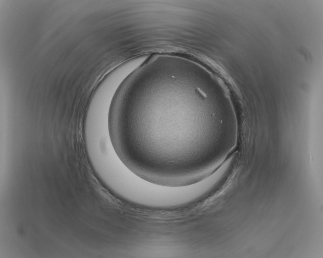 X0000113600889200910091518