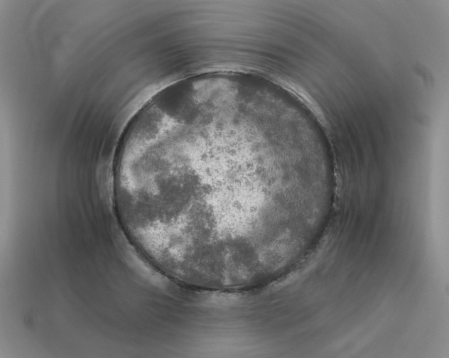 X0000113600890200910091518