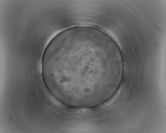 X0000113600891200910091518