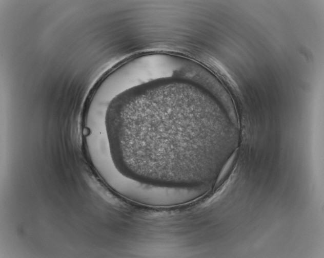 X0000113600892200910091518