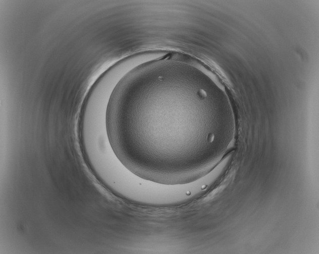 X0000113600893200910091518