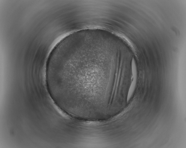 X0000113600894200910091518