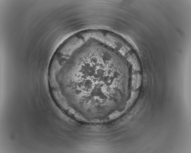 X0000113600895200910091518