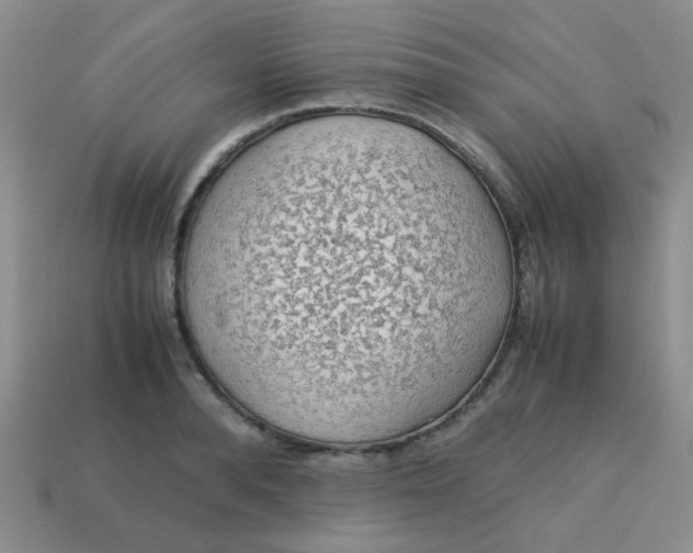 X0000113600896200910091518