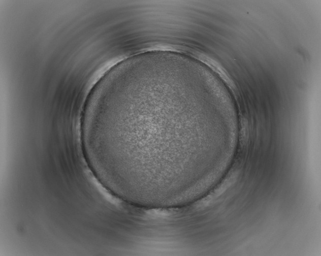 X0000113600898200910091518