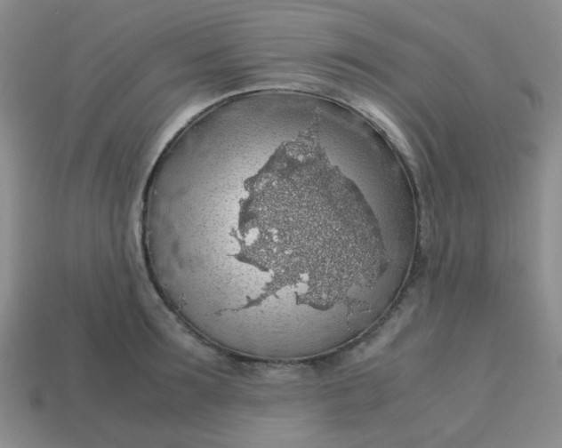 X0000113600899200910091518