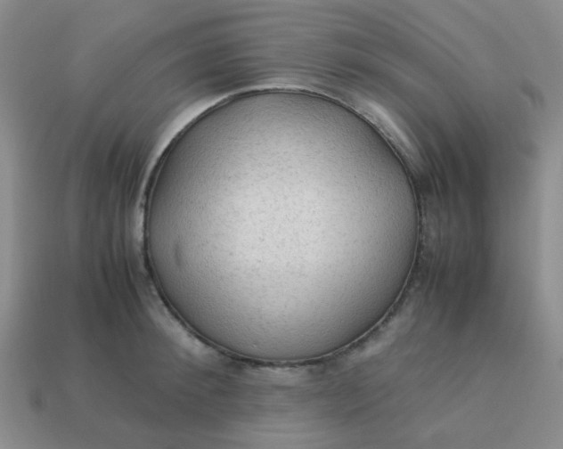 X0000113600900200910091518