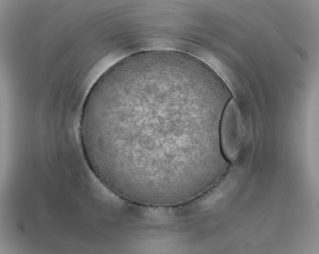 X0000113600901200910091518