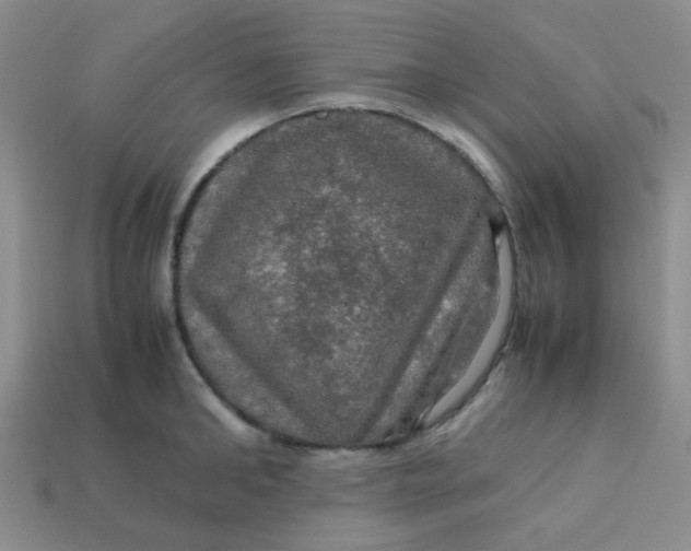 X0000113600902200910091518