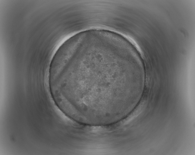 X0000113600903200910091518