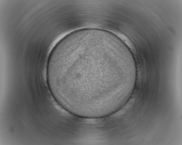 X0000113600904200910091518