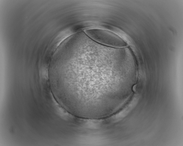 X0000113600905200910091518