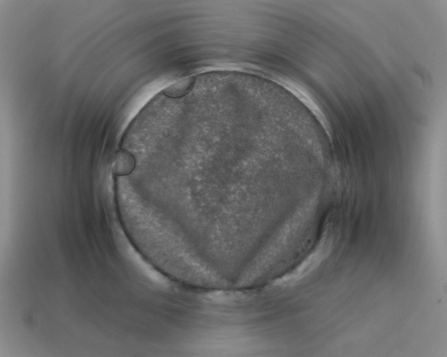 X0000113600906200910091518