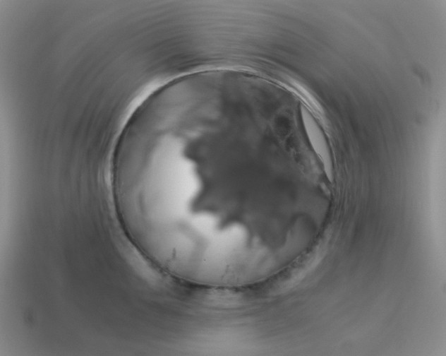 X0000113600907200910091518