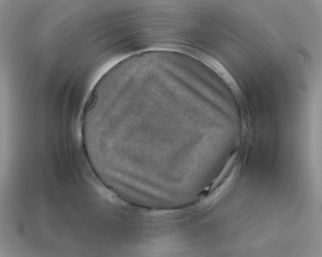 X0000113600908200910091518