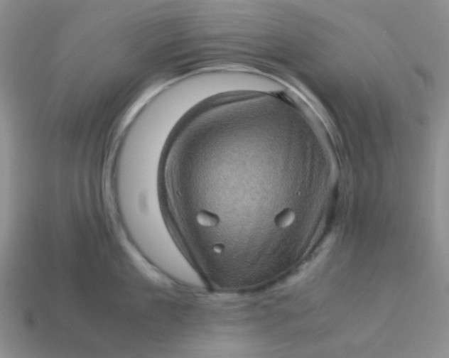 X0000113600909200910091518